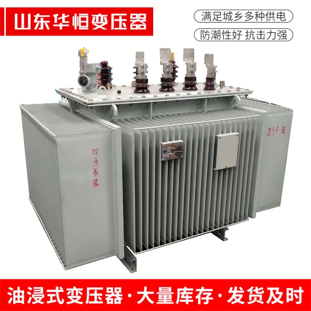 S13-10000/35界首界首界首电力变压器厂家